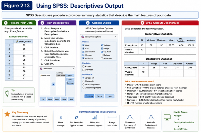 The IBM SPSS Statistics Descriptives dialog and a typical output table containing N, Mean, Standard Deviation, Minimum and Maximum.