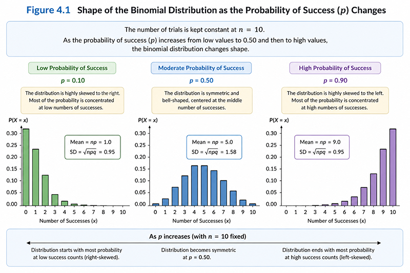 Conceptual illustration showing how the shape of the binomial distribution changes as the probability of success (<i>p</i>) increases from low values to 0.50 and then to high values, while the number of trials remains constant.