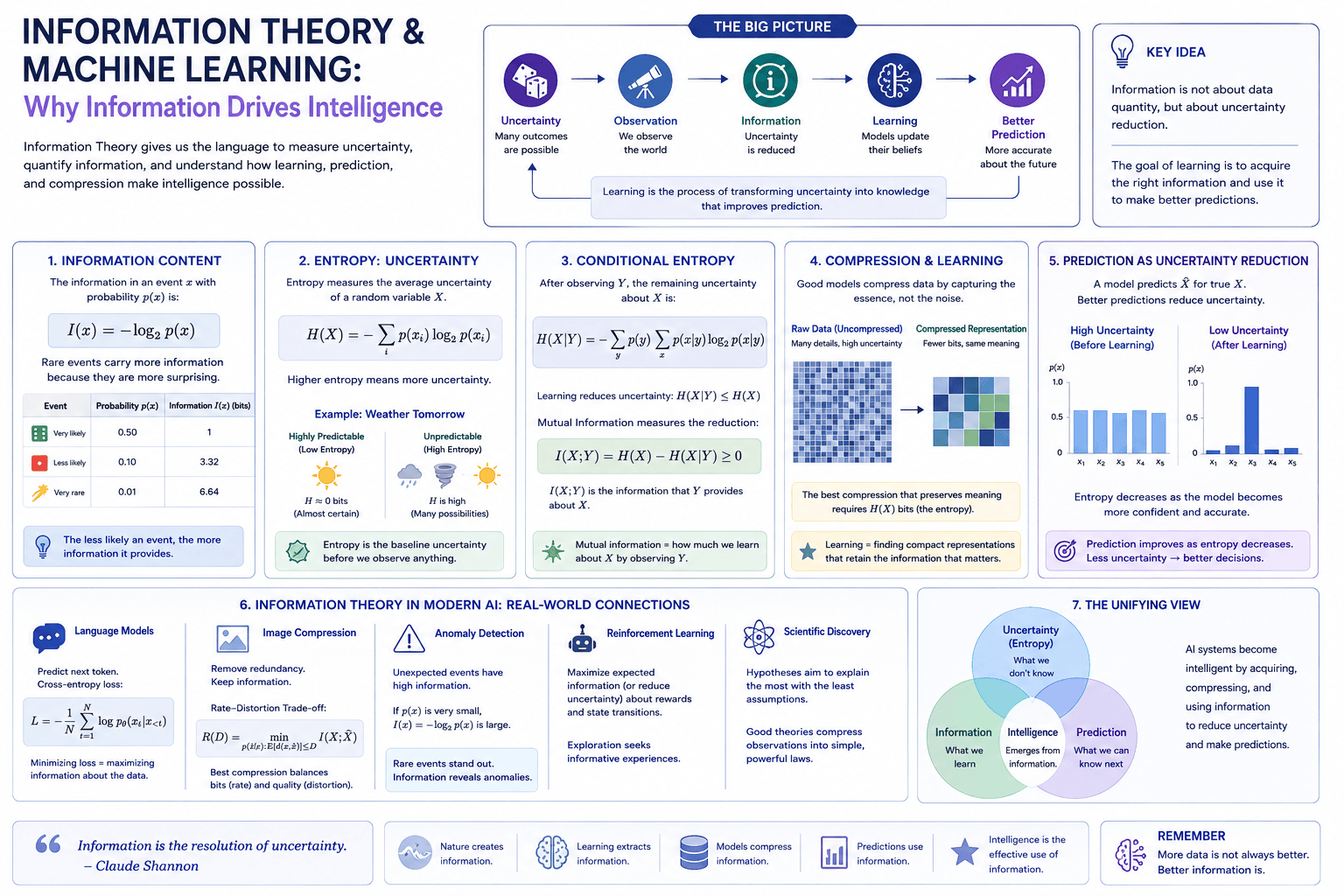 Why Information Drives Intelligence